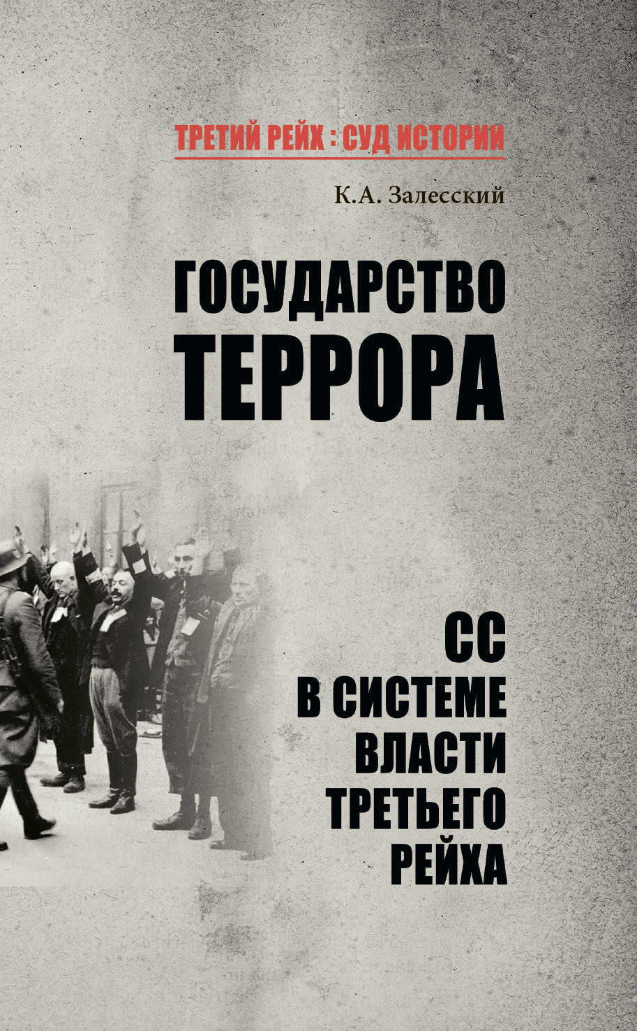 Онлайн книга - Государство террора. СС в системе власти Третьего рейха - Константин Александрович Залесский