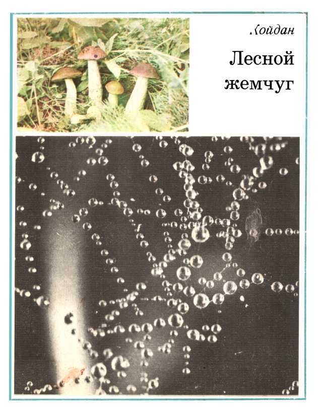 Онлайн книга - Лесной жемчуг - Сергей Андреевич Койдан