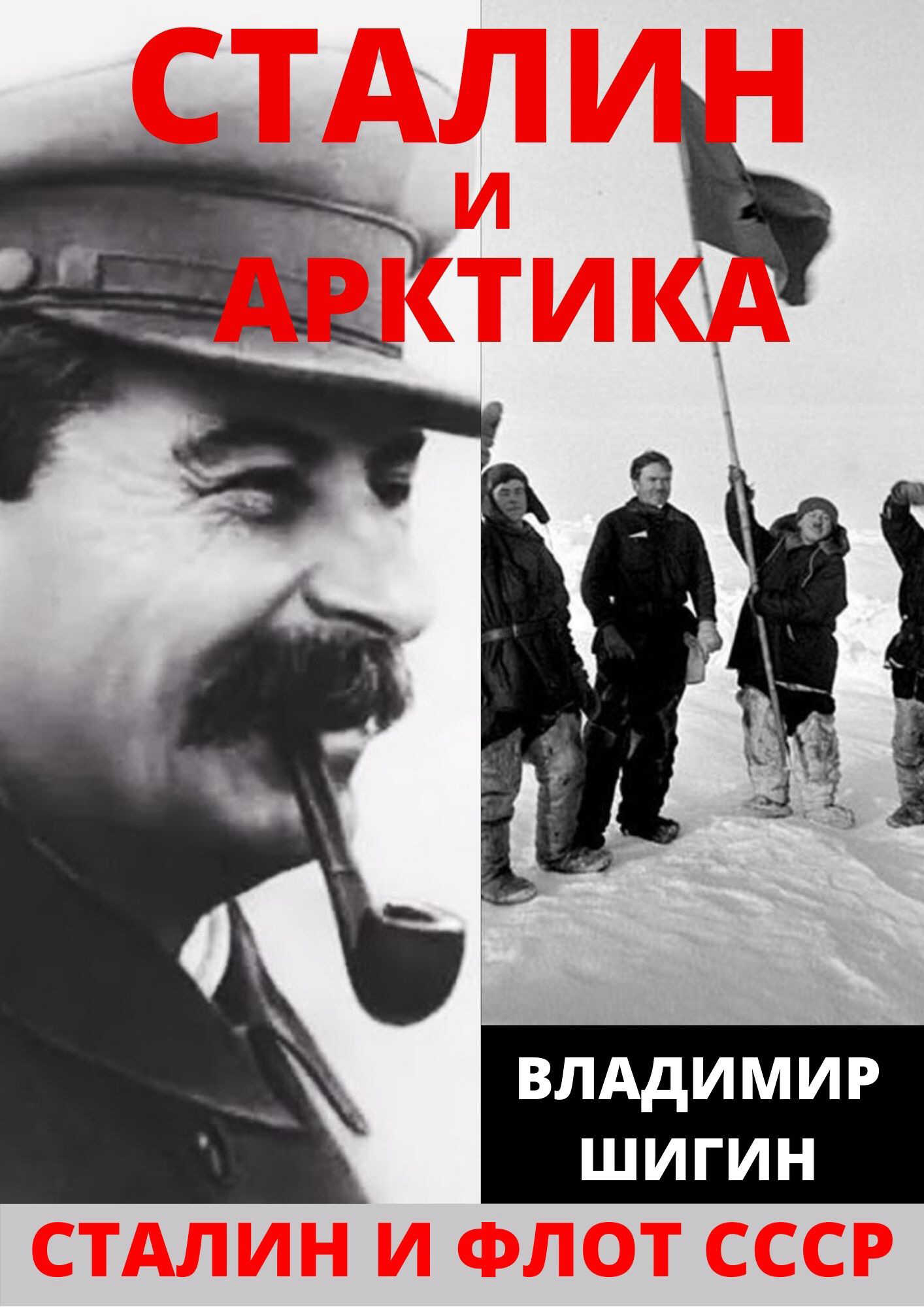 Онлайн книга - Сталин и Арктика - Владимир Виленович Шигин