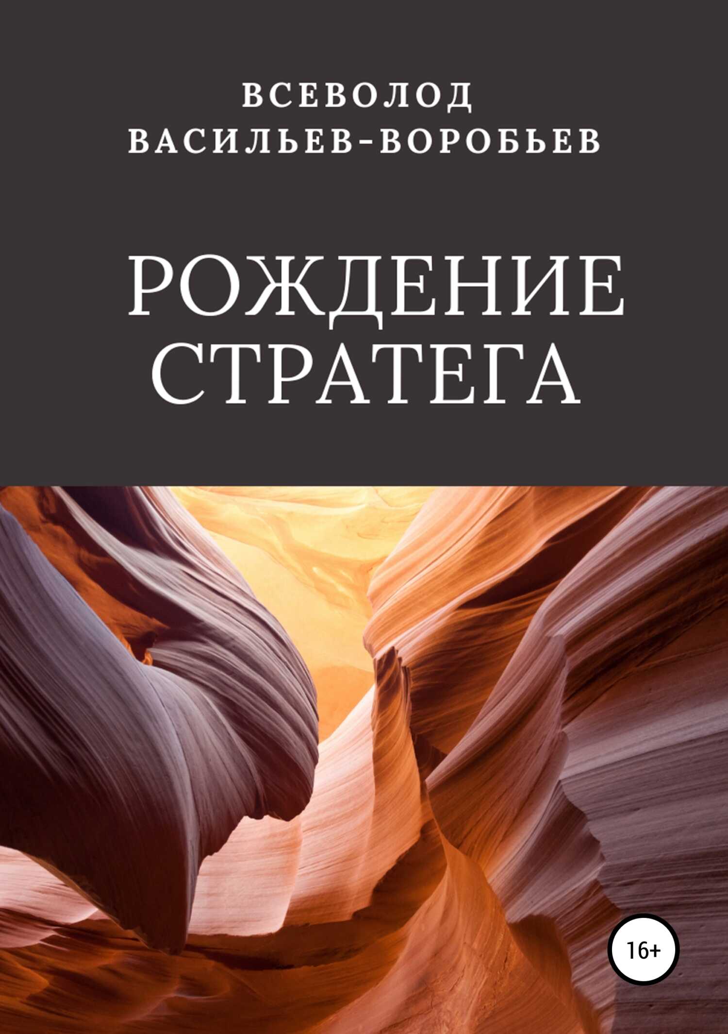 Онлайн книга - Рождение стратега - Всеволод Константинович Васильев-Воробьев