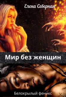 Онлайн книга - Мир без женщин. - Елена Северная