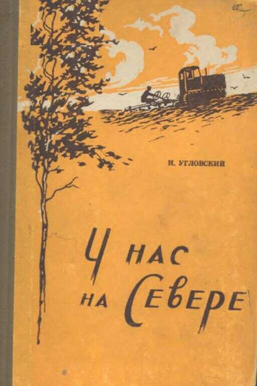 Онлайн книга - У нас на Севере - Николай Васильевич Угловский