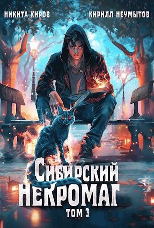 Онлайн книга - Сибирский некромаг 3 - Кирилл Неумытов