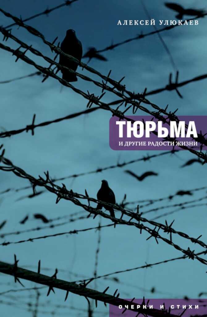 Онлайн книга - Тюрьма и другие радости жизни. Очерки и стихи - Алексей Валентинович Улюкаев