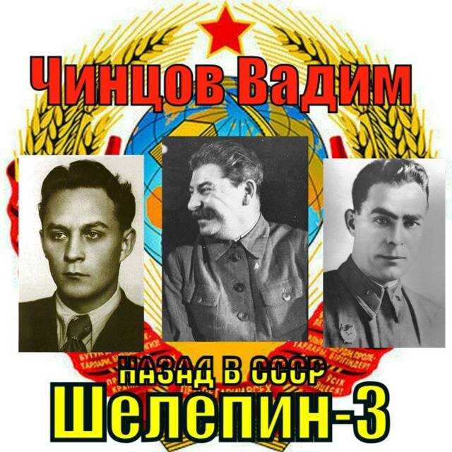 Онлайн книга - Назад в СССР. Шелепин-3 - Вадим Владимирович Чинцов