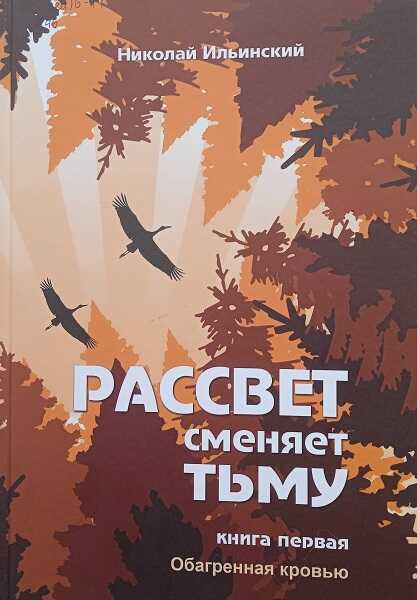 Онлайн книга - Рассвет сменяет тьму. Книга первая: Обагренная кровью - Николай Ильинский
