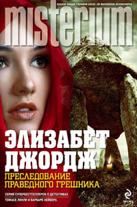 Онлайн книга - Преследование праведного грешника - Элизабет Джордж