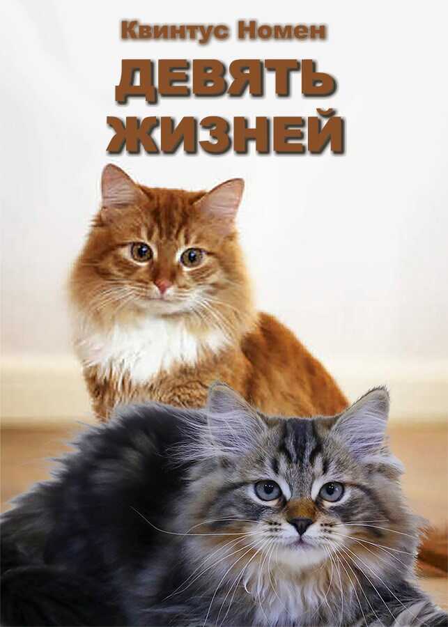 Онлайн книга - Девять жизней - Квинтус Номен