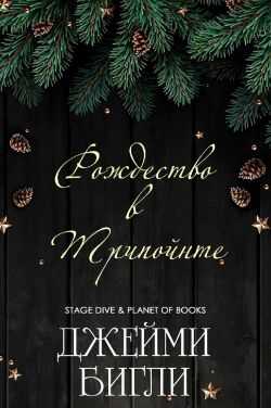 Онлайн книга - Рождество в Трипойнте - Джейми Бигли