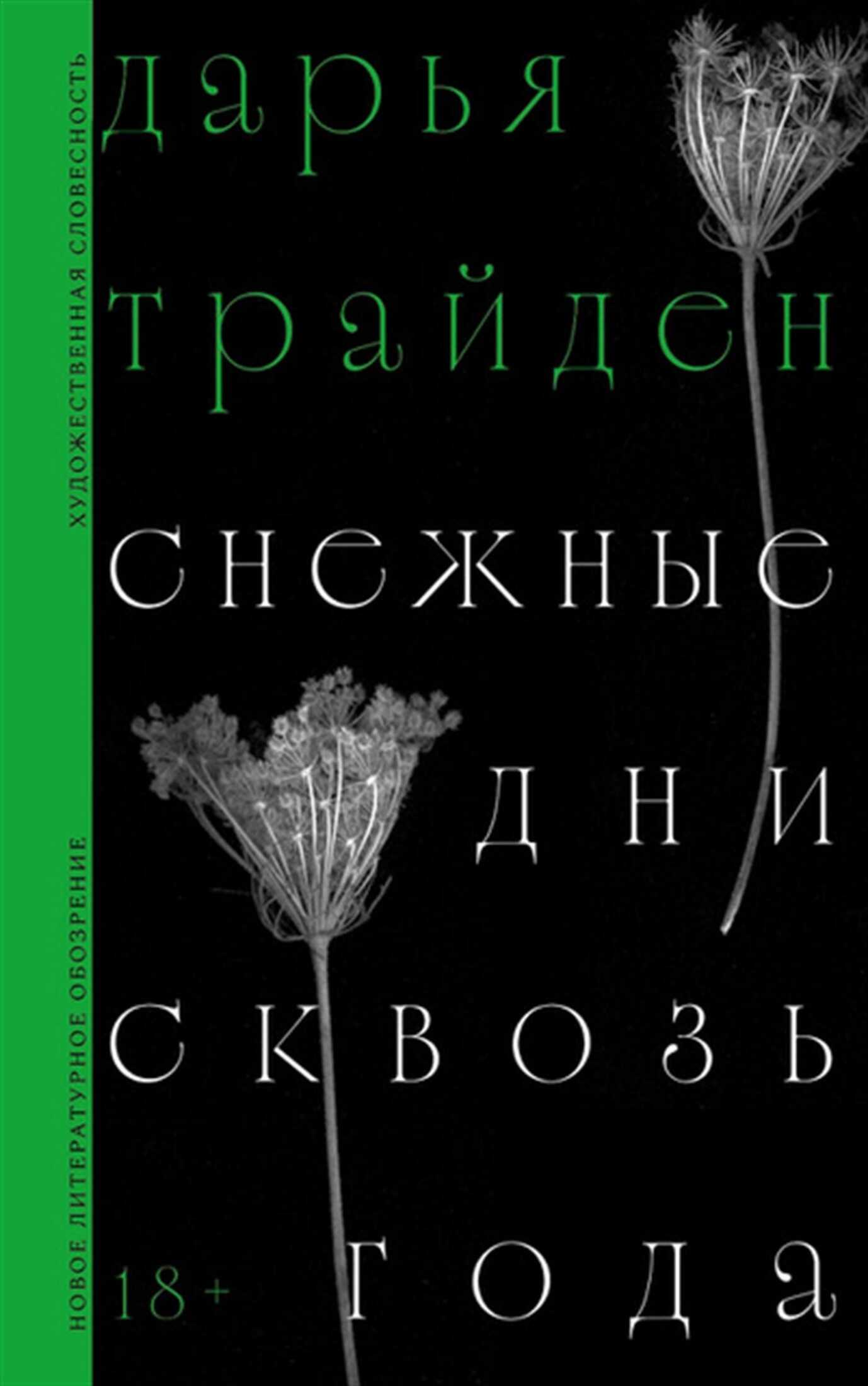 Онлайн книга - Снежные дни сквозь года - Дарья Михайловна Трайден