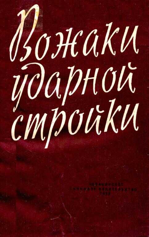 Онлайн книга - Вожаки ударной стройки - Владимир Тихонович Петров