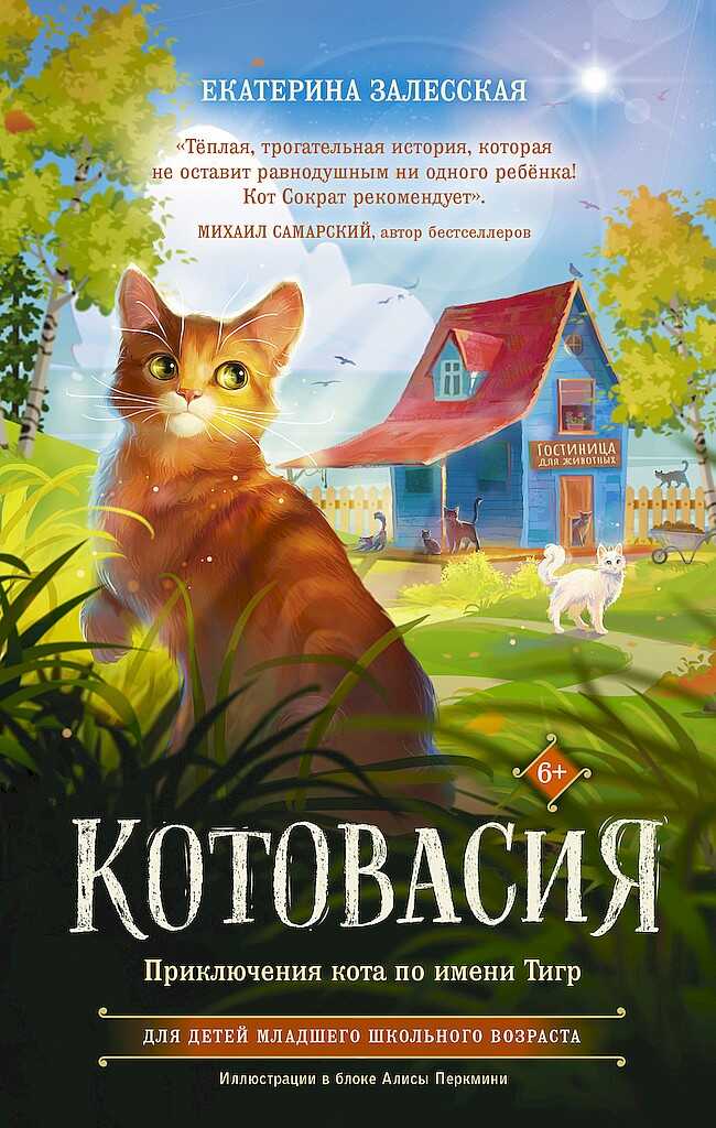 Онлайн книга - Котовасия. Приключения кота по имени Тигр - Екатерина Васильевна Залесская