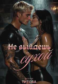 Онлайн книга - Не выйдешь сухой - Лера Титова