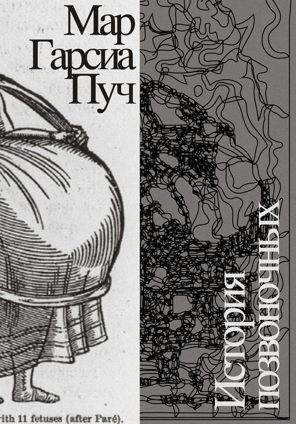 Онлайн книга - История позвоночных - Мар Гарсиа Пуч