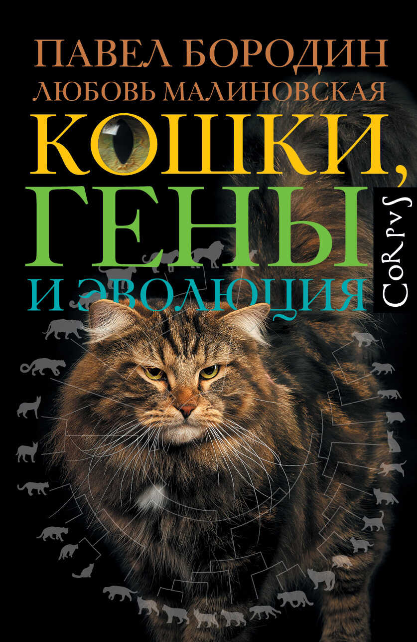 Онлайн книга - Кошки, гены и эволюция - Павел Михайлович Бородин