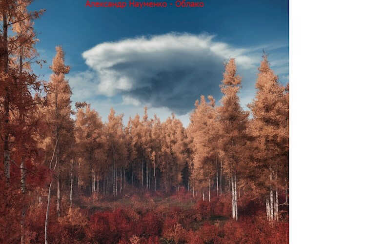 Онлайн книга - Облако. - Александр Науменко