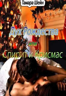 Онлайн книга - Дух Рождества или Спирит и Крисмас - Тамара Шейн