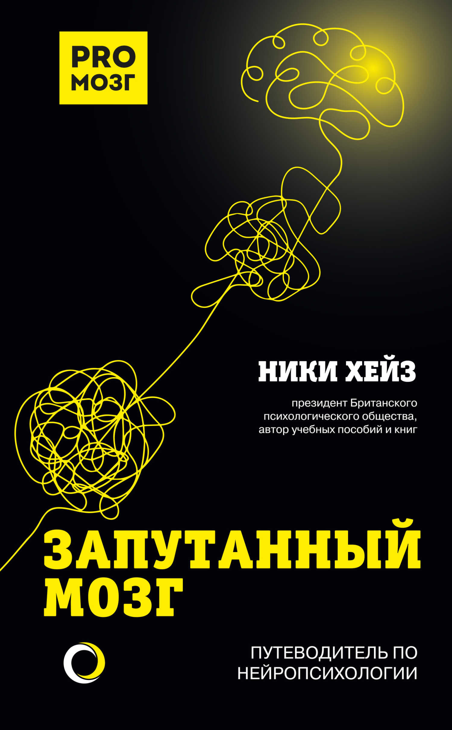 Онлайн книга - Запутанный мозг. Путеводитель по нейропсихологии - Ники Хейз