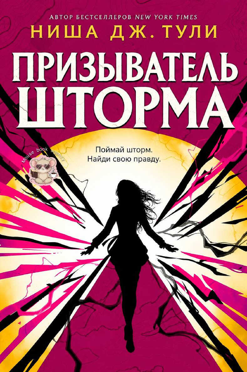 Онлайн книга - Призыватель шторма - Ниша Дж. Тули