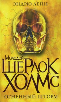 Онлайн книга - Огненный шторм - Эндрю Лейн