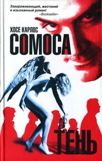 Онлайн книга - Клара и тень - Хосе Карлос Сомоса