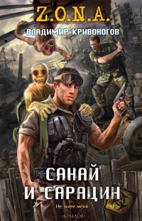 Онлайн книга - Санай и Сарацин - Владимир Кривоногов