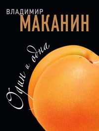 Онлайн книга - Один и одна - Владимир Маканин