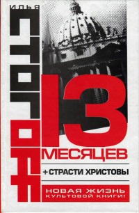 Онлайн книга - 13 месяцев - Илья Стогов