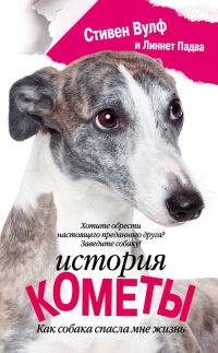Онлайн книга - История Кометы. Как собака спасла мне жизнь - Линетт Падва