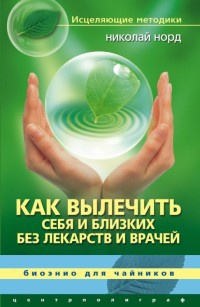 Онлайн книга - Как вылечить себя и близких без лекарств и врачей. Биоэнио для чайников - Николай Норд