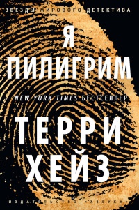 Онлайн книга - Я Пилигрим - Терри Хейз