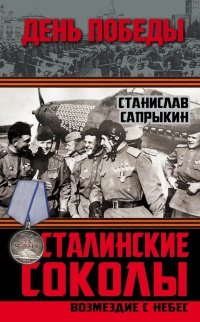 Онлайн книга - Сталинские соколы. Возмездие с небес - Станислав Сапрыкин