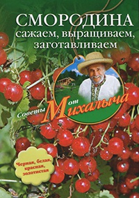 Онлайн книга - Смородина. Сажаем, выращиваем, заготавливаем - Николай Звонарев