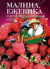 Онлайн книга - Малина, ежевика. Сорта, выращивание, уход - Николай Звонарев