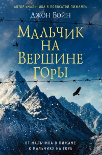 Онлайн книга - Мальчик на вершине горы - Джон Бойн