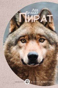 Онлайн книга - Пират - Лев Брандт