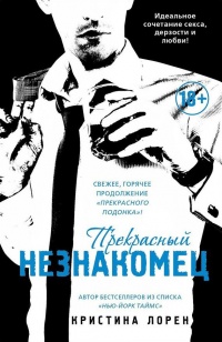 Онлайн книга - Прекрасный незнакомец - Кристина Лорен