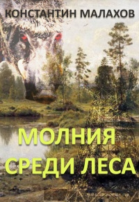 Онлайн книга - Молния среди леса - Константин Малахов