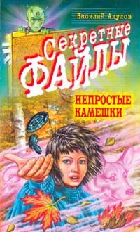 Онлайн книга - Непростые камешки - Василий Акулов