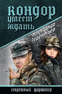 Онлайн книга - Кондор умеет ждать - Александр Терентьев