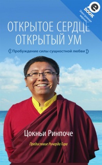 Онлайн книга - Открытое сердце. Открытый ум. Пробуждение силы сущностной любви - Цокньи Ринпоче
