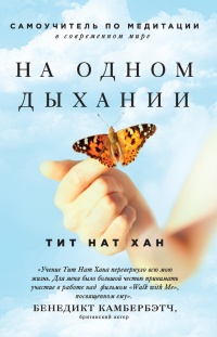 Онлайн книга - На одном дыхании. Самоучитель по медитации в современном мире - Тит Нат Хан