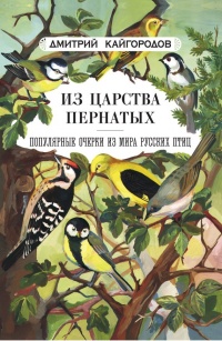 Онлайн книга - Из царства пернатых. Популярные очерки из мира русских птиц - Дмитрий Кайгородов