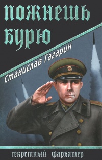 Онлайн книга - Пожнешь бурю - Станислав Гагарин
