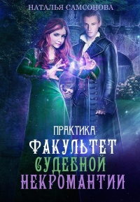 Онлайн книга - Практика - Наталья Самсонова