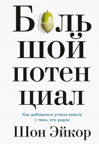 Онлайн книга - Большой потенциал - Шон Эйкор