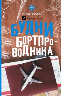 Онлайн книга - Будни бортпроводника - Илья Брижак