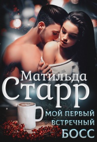 Онлайн книга - Мой первый встречный босс - Матильда Старр