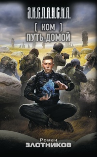 Онлайн книга - Ком. Путь домой - Роман Злотников