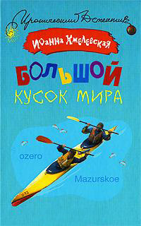 Онлайн книга - Большой кусок мира - Иоанна Хмелевская